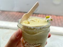 -野草莓自由市场