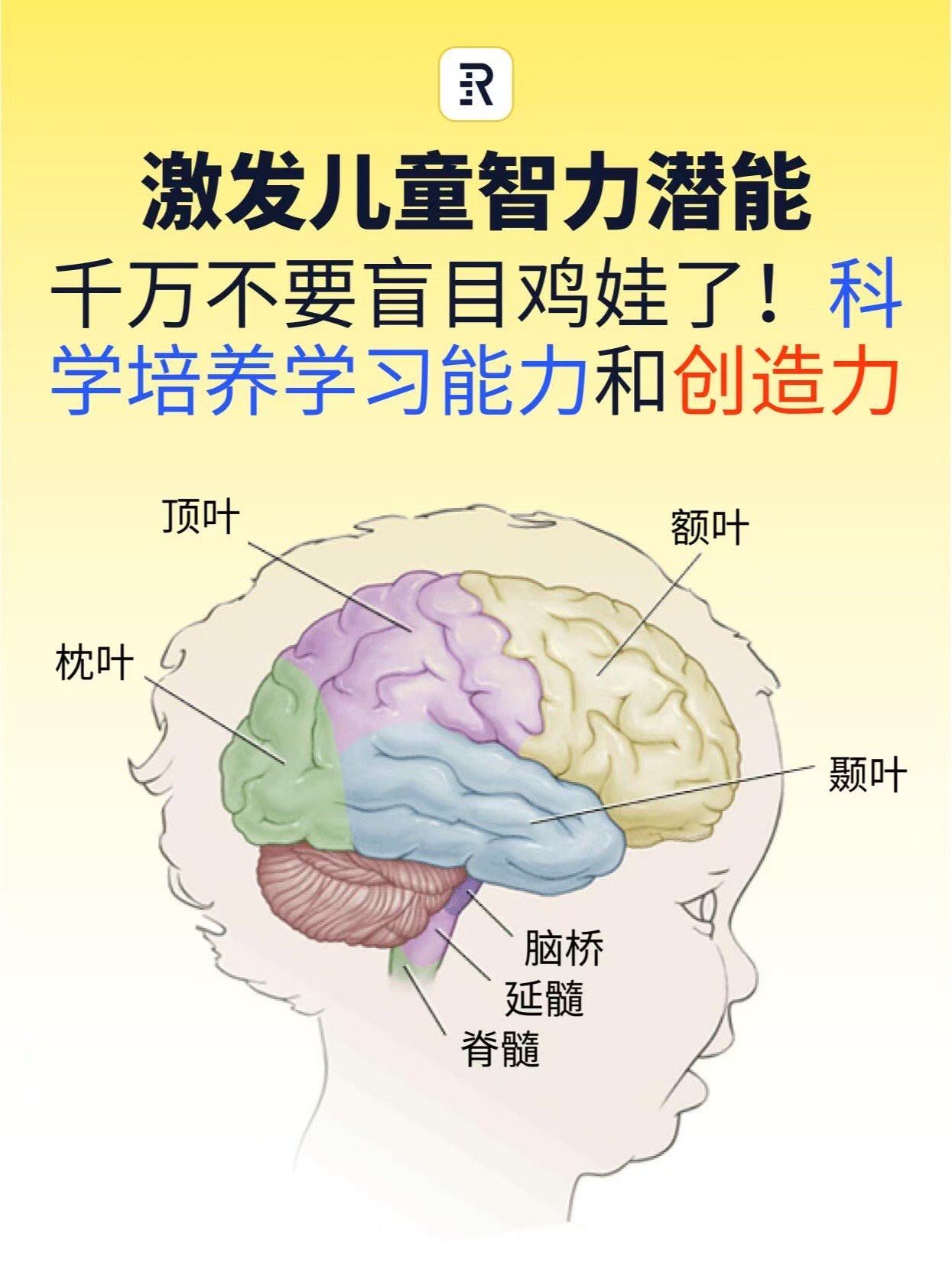 如何抓住孩子智力发展的黄金期?