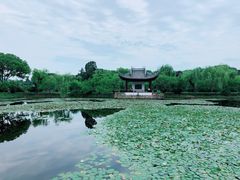 -无锡蠡湖国家湿地公园-蠡园