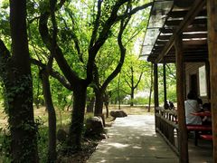 -国家植物园南园