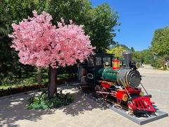 -南宫五洲植物乐园