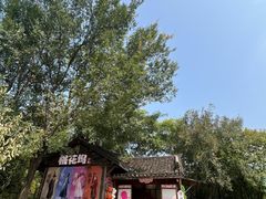 -茅山东方盐湖城景区