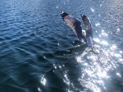 -丽江泸沽湖景区