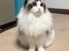 -零纪元VR体验馆·桌游(黄浦店)