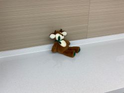 -铂诗玥医美