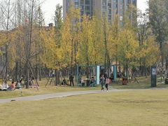 -府河摄影公园