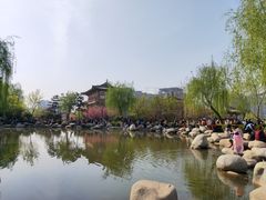 -西安青龙寺遗址景区