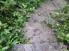 android_upload_pic-摩围山景区