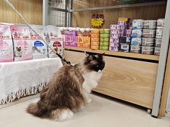-艾贝尔宠物医院 ·中兽医·宠保定点(北门桥店)