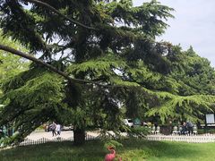 -青岛德国总督楼旧址博物馆