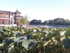 -后海公园