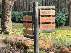 -上海共青森林公园