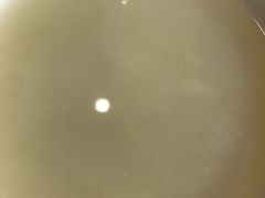 -庆丰包子铺(回龙观店)