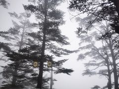 -瓦屋山景区