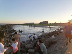 -南汇嘴观海公园