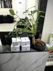 -北京炫美医疗美容