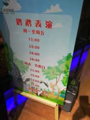 -未来动物城主题公园(正弘城店)