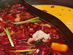 -朱光玉火锅馆(正弘城店)