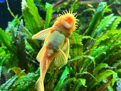 -上海海洋水族馆
