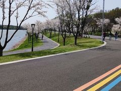 -羊山湖公园