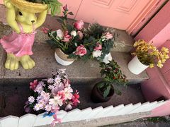 -九龙餐厅(大沽路店)