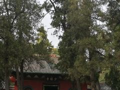 景点-少林寺景区