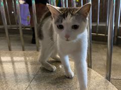 -蒲黄榆(地铁站)