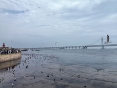 -星海广场