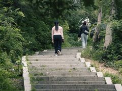 -青龙山国家森林公园