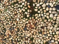 -盘龙城国家考古遗址公园