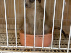 -大悦城(沈阳中街店)