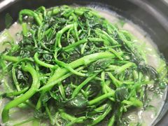 -农汤老店(顺联公园里店)