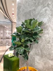 点击看大图 -潘多拉Hairsalon
