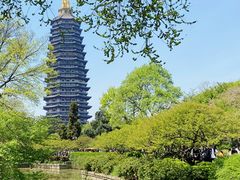 -红梅公园