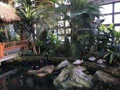 -南宫五洲植物乐园