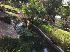 -三亚亚龙湾天域度假酒店