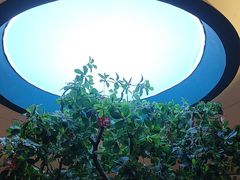 -悦海·家宴·冰花皮皮虾大锅贴(宝龙店)