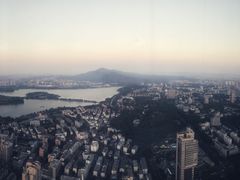 -紫峰大厦