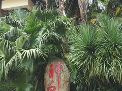 -三亚珠江南田温泉度假区