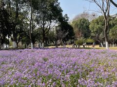 -钟山体育运动公园