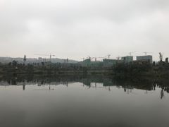 -枫香湖儿童公园