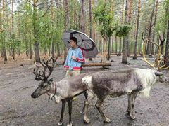 -北极村旅游风景区