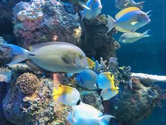 -成都浩海立方海洋公园