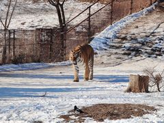 -沈阳森林动物园