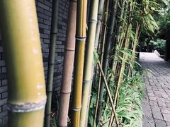 -龙潭水乡
