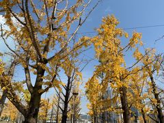 -两江幸福广场