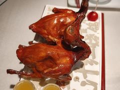 -大鸽饭(动物园店)
