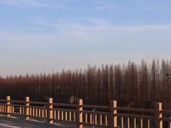 -南京金牛湖风景区