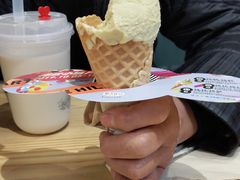 -野人先生现做冰淇淋(北京顺义祥云小镇店)