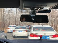 -秦皇岛野生动物园